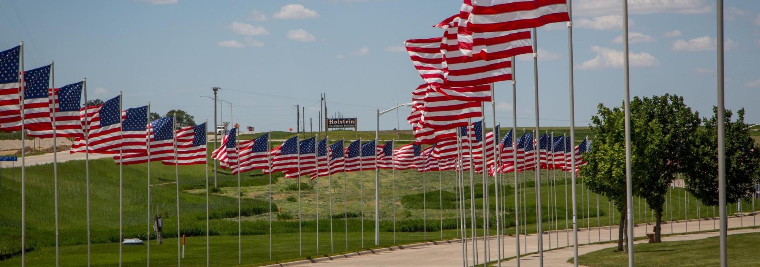 Avenue of flags