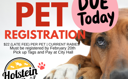 Pet Registration